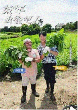 亚洲综艺节目 真人秀